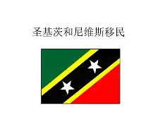 圣基茨和尼维斯女篮在与圭亚那队的交锋中熠熠生辉